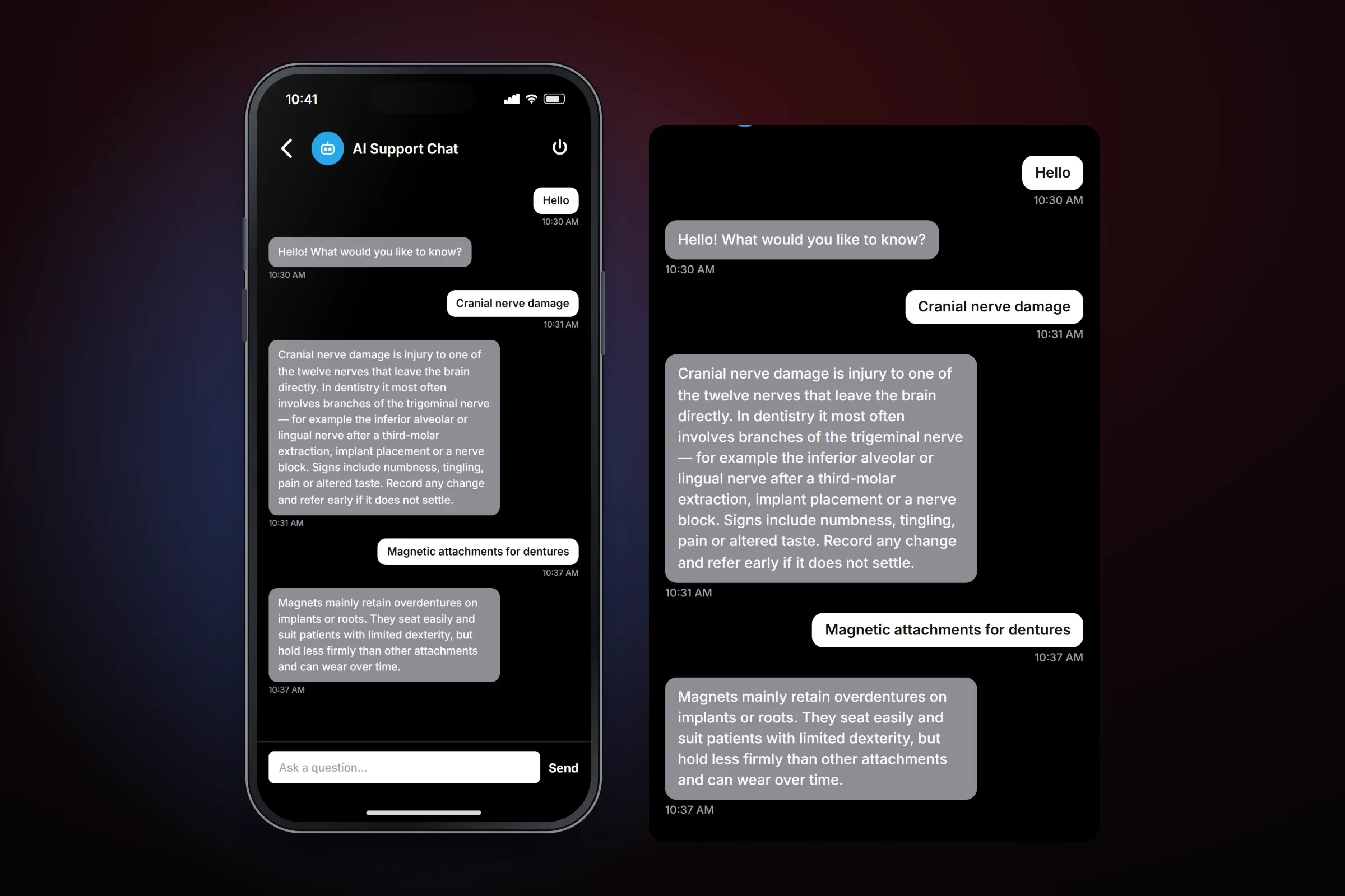 Recreated AI Support Chat screen with a message field and Send button, and an enlarged view of the conversation: after a greeting, the user asks about cranial nerve damage and magnetic attachments for dentures, and each question gets a short written answer, with timestamps